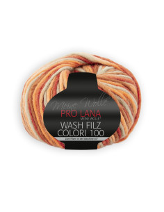 Wash Filz Colori 100 - Pro Lana 704 - beige/orange