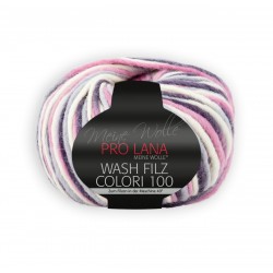 Wash Filz Colori 100 - Pro Lana_17814