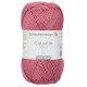 Catania - Schachenmayr, 00502 - hortensie_19396