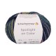 Spotlight on Color - Schachenmayr 00084 - denim color