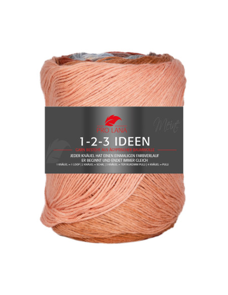 1-2-3 Ideen - Pro Lana 16 - appricot/mint