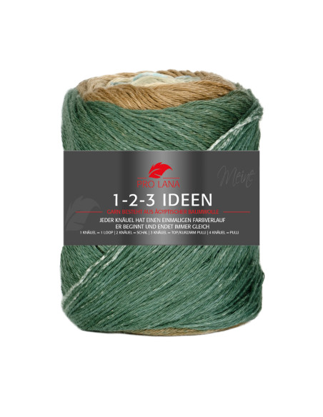 1-2-3 Ideen - Pro Lana 17 - grün/beige