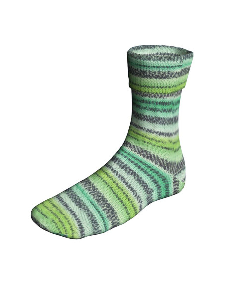 Super Soxx Color 4-fach - Lang Yarns 0477