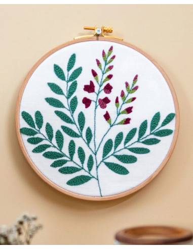 Ecovita Book 2 - DMC