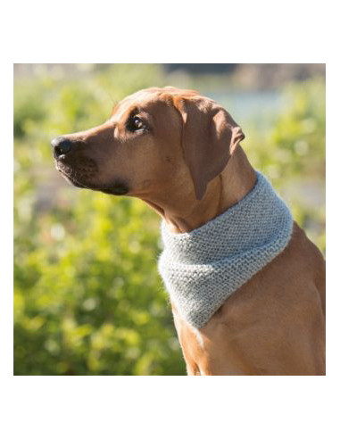 Strick-Lieblinge für deinen Hund - CV