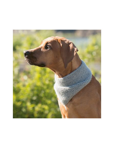 Strick-Lieblinge für deinen Hund - CV