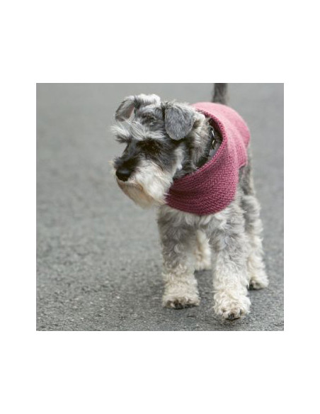 Strick-Lieblinge für deinen Hund - CV