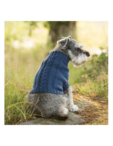 Strick-Lieblinge für deinen Hund - CV