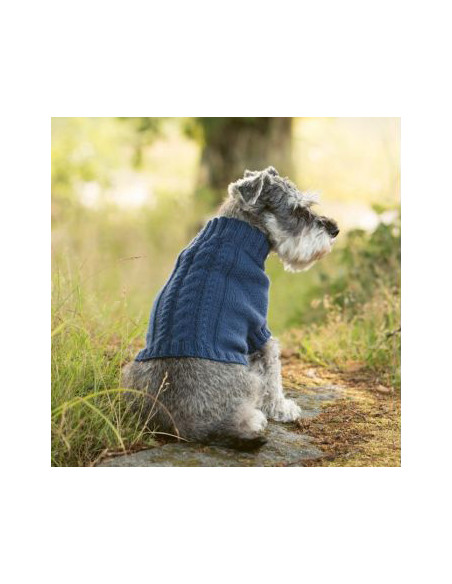 Strick-Lieblinge für deinen Hund - CV