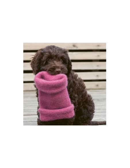 Strick-Lieblinge für deinen Hund - CV