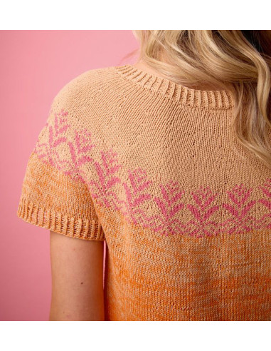 Aus 1 mach viele Rundpassen-Shirts stricken - Topp