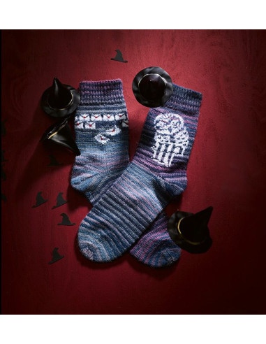 Magische Socken stricken - Topp