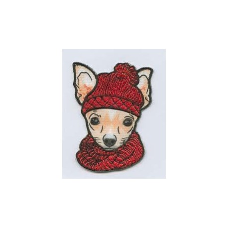 Hund mit Mütze - welti creativ